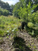 LAND FOR SALE EAST SUSSEX