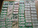 50 + Exeter Speedway Programmes 1970's - 2000's