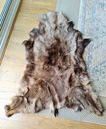 Real Reindeer Skin Rug From Norway