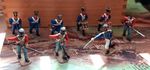 Napoleonic Series French & British Soldiers similar to the Britains range