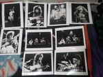 LED ZEPPELIN 1975 EARLS COURT 9 PENNIE SMITH STAMPED QUALITY PHOTO 8x10 $50 EACH