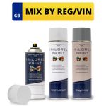 Aerosol Spray Paint Kit Mixed To Car Registration Reg VIN Plate Chassis Number