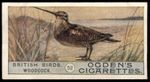 Tobacco Card, Ogdens, BRITISH BIRDS, 2nd Series 1908, Woodcock, #52