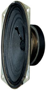 General Purpose Elliptical Speaker 6W 8 Ohm Replacement Driver