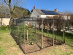 Fruit Cage Walk In  2.5m x 2.5m vegetable, fruit Complete Cage nets and frame