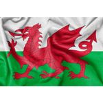 New St David's Day Flags Cymru Wales Welsh Dragon National Patriotic Flag