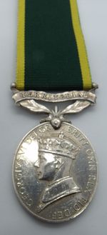 George VI Territorial Efficiency Medal 2056369 PTE F. RODGERS DEVONS FID DEF
