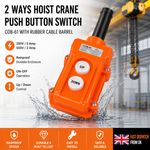 2 Way Hoist Crane Push Button Switch COB-61 Up Down Pendant Control 250V 5A UK