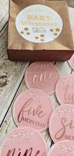 Baby Girl Milestone Plaques. Birth to 12 Months. New.