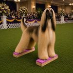 Handcrafted Dog Training Stacking Blocks: Dog Agility, Show Conformation