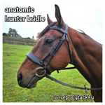 ANATOMIC PADDED SHOW WORKING HUNTER HUNT LEATHER SHOWING BRIDLE PLAITED REINS