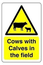 Cows With Calves In The Field Safety Sign - Waterproof PVC Sticker Dibond