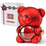 Teddy Bear Gift Set with Preserved Real Rose, Hidden Jewellery Box