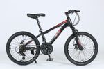 20" inch Unisex Bike Adult Kids City Bike 7 Speed Disc Brakes Bicycle
