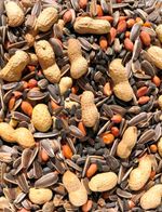 100% Premium Quality Squirrel & Chipmunk Seed Mix Wild Life Diet Supplement Food