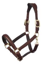 LeMieux Anatomic Leather Headcollar - Brown