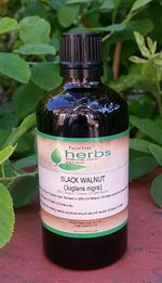 Parasite Cleanse Kit: Black Walnut, Clove & Wormwood 3x 100ml Organic Tinctures