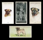 PUG CARLIN MOPS HUND DOG VINTAGE CIGARETTE CARDS - X 4 all original