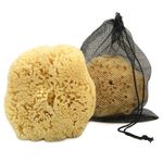Real Sea Sponge for Men - Extra Large 6"-7", Totally Natural, Kind on Skin.