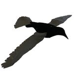 Proflap Flying Crow Decoys x2 Flocked Realistic Flapping Wings  Magnet Bouncer