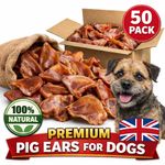 50 Large Natural Pig Ear Dog Chews – Dried Treats Bulk Pack – 100% Pork Chews