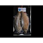 Freezer ROACH ALL SIZES Pike Predator Sea Frozen Dead Bait - BRAND MAY VARY