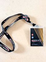 2007 Carling Cup Final Guest Pass & Lanyard Arsenal v Chelsea Millennium Stadium