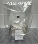 Mushroom Fruiting bags Humidity tent bags for growing and fruiting mushrooms UK