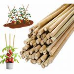 5FT & 6FT Bamboo Garden Canes Plant Support Stakes Natural Strong Sticks 10-100