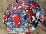 Marvel Spider-Man Boys Standard Umbrella Multicolour Graphic Print