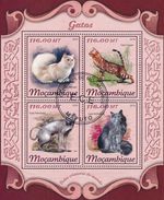 Cats - Mozambique 2018 - CTO - MiNr 9309/12KB