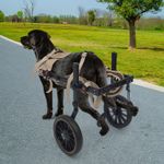 Modern Pet Rehabilitation Walking Aid, 2-wheel Dog Wheelchairs for Back Legs