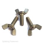 DIN316 A2 304 Stainless Steel Wing Bolts Nut Butterfly Screw M4 M5 M6 M8 M10