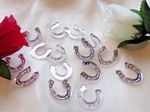 Personalised Horseshoe Wedding Favours x50 Table Decorations Scatters Confetti 