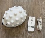 Hoydepunkt Kids Hedgehog Multicolour Night Light for Nursery/Room with Remote