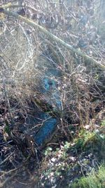 Near Black sea regulated land 2500 sq mtr BELILA