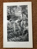 1896 small print - crickets heavy hitters ! lost ball 
