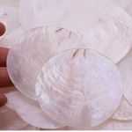 3-7cm White 50pcs Round Natural Sea Shell Discs DIY Craft Home Art Decor White