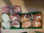 Beulas Coach LED Oval Rear Lights - 10 units in total, New and Unused