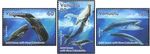 Vanuatu MNH 2001 Whales - Joint Issue with New Caledonia