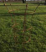 Large Heavy Duty Metal Rusty 5 Leg Peony Shrub Plant Supports Frame 79cm x 50cm