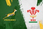 Springboks v Wales: 18/07/2026: Summer Test: Official Programme *PRE-ORDER*