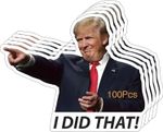 10pcs Trump I Did That Stickers, Gas Pump Stickers, High Quality Vinyl