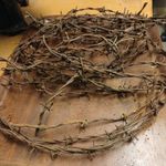 ww2 Normandy barbed wire 