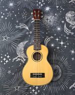Hartwood Electro Ukulele