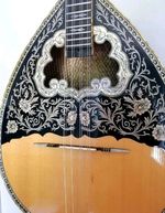greek bouzouki 8 string &  300 backing track with pdf scores& hardcase & pickup