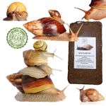 Giant African Land Snail Soil, Land Snail Substrate, Coco Coir 8-9L block