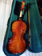 Stunning Viola 16" Back