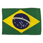 Vintage Wool Brazil Flag Antique Brazilian Textile Art Printed Ordem e Progresso