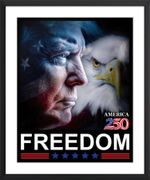 DONALD TRUMP AMERICA 250 FREEDOM - LIMITED EDITION 16"x20" METALLIC PHOTO PRINT